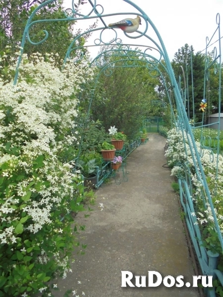 Продам дом 68.5 м2 изображение 3