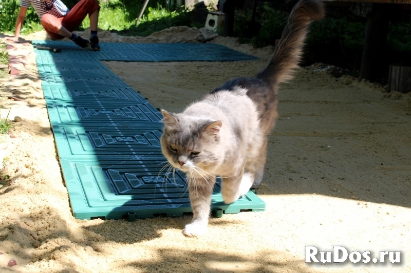 Сделай сам дорожки на даче – садовая дорожка быстро и надолго изображение 5