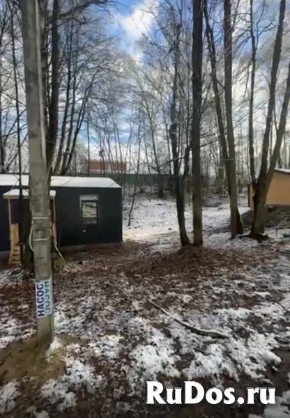 Рельефный участок с вековыми деревьями. изображение 4