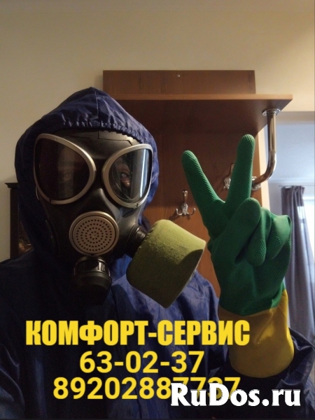 Уничтожение тараканов, блох, клопов, муравьев изображение 7