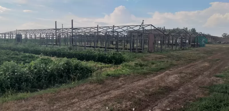 Продается производственная база, 2.5 га изображение 7