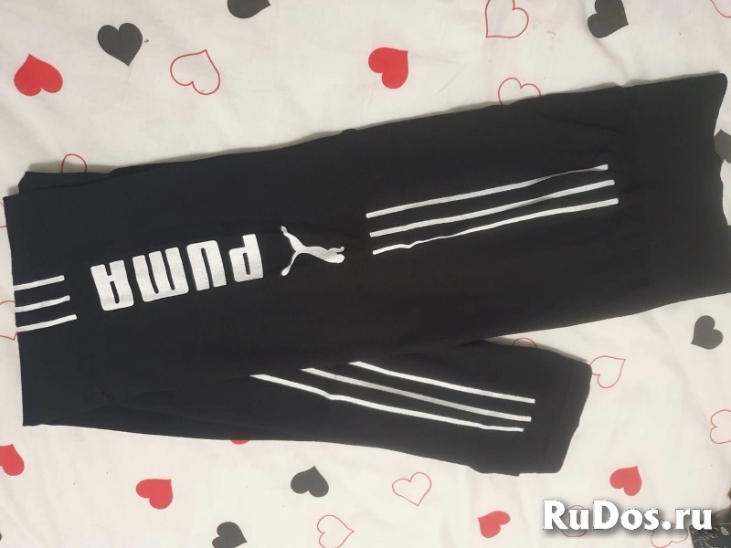 Лосины  женские фотка