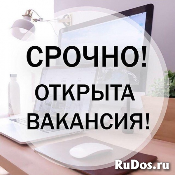 помощник руководителя фото