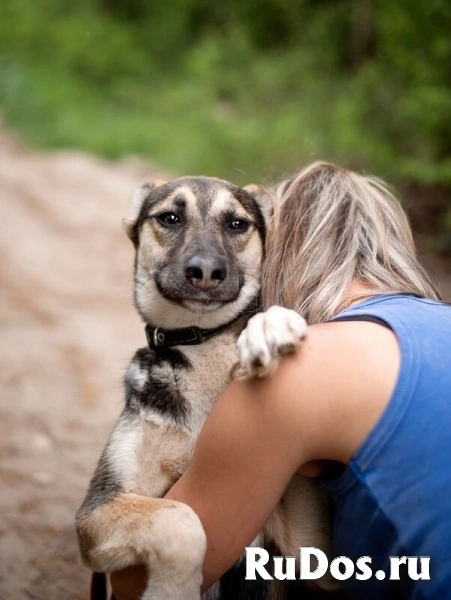 Киви — друг, который умеет быть рядом изображение 7