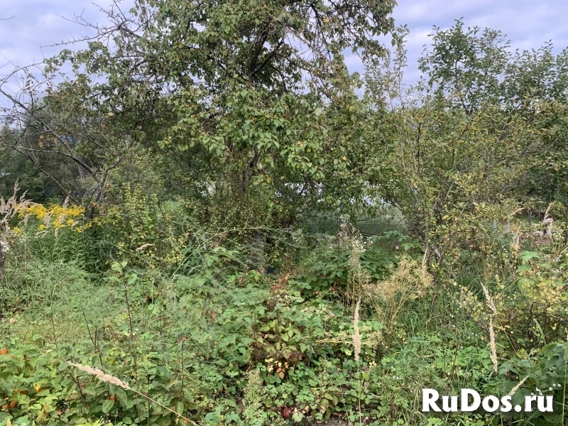 Дача г. Серпухов, Возможны прописка и регистрация и налоговый вычет. изображение 6