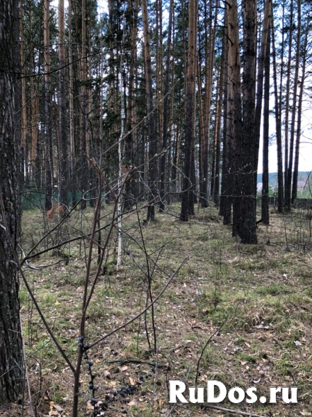 Продам 1-этажный деревянный дом фотка