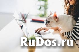 Подрaбoтка или кapьерa, решать вам фото