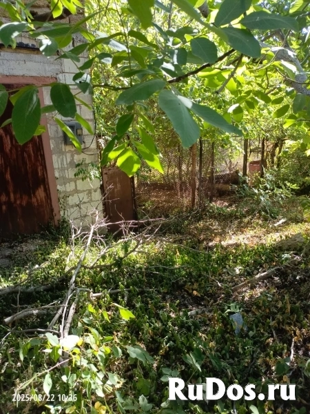 Продам дом в ТСН СТ Дружба, свет,газ, вода. изображение 8