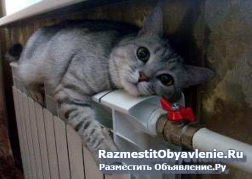 Сантехнические услуги. Сантехник домой, в офис изображение 6