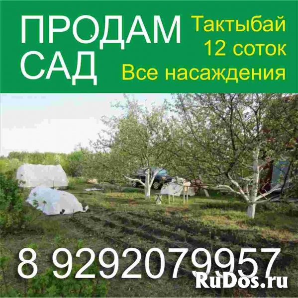 Продам сад 12 соток фото