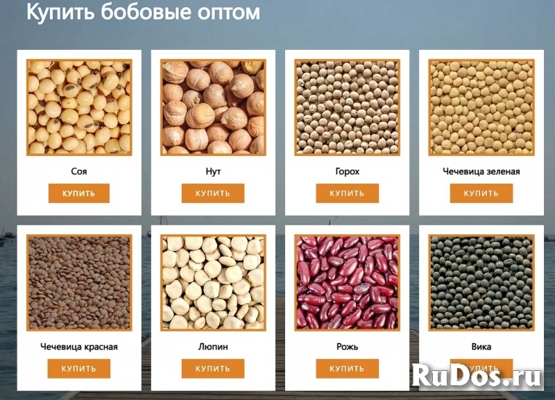 ООО Агропром - оптовая реализация продуктов питания экспорт фотка