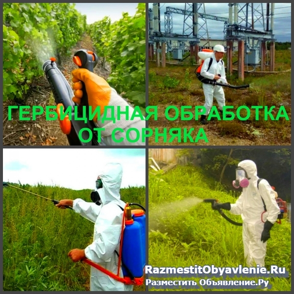 Гербицидная обработка Воронеж, от сорняков фото