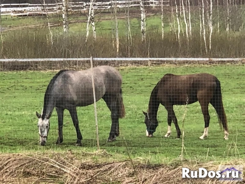 Продам участок 12 сот. изображение 8