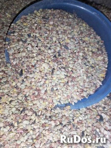 Отходы чечевицы кормовые в биг-бегах изображение 4