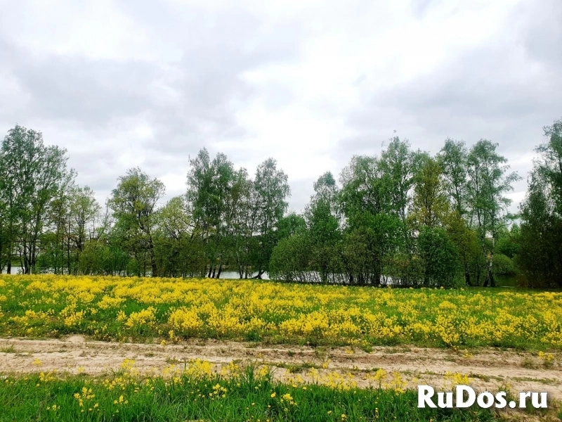 Участок 6 сот. в живописном КП фото