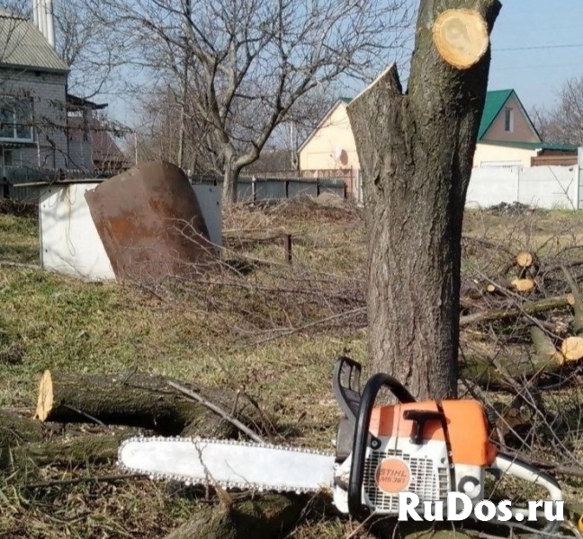 Спил деревьев изображение 4