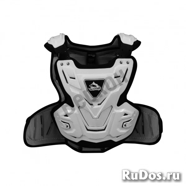 Моточерепаха фотка