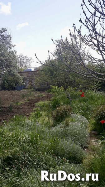 Дом 57 м2 с участком в Крыму в центре Керчи возле моря изображение 10