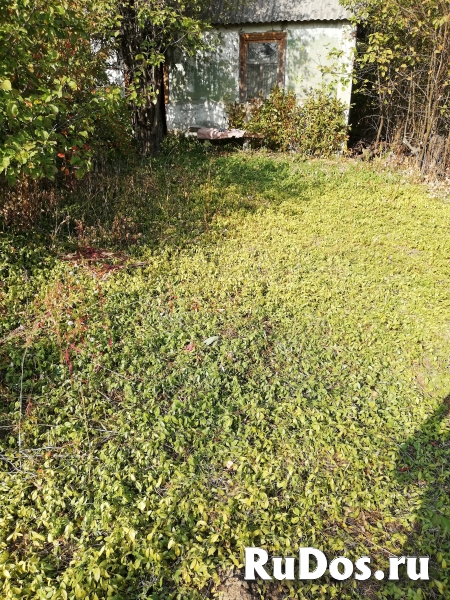 Продам дачу СНТ Луч  Белгород фотка