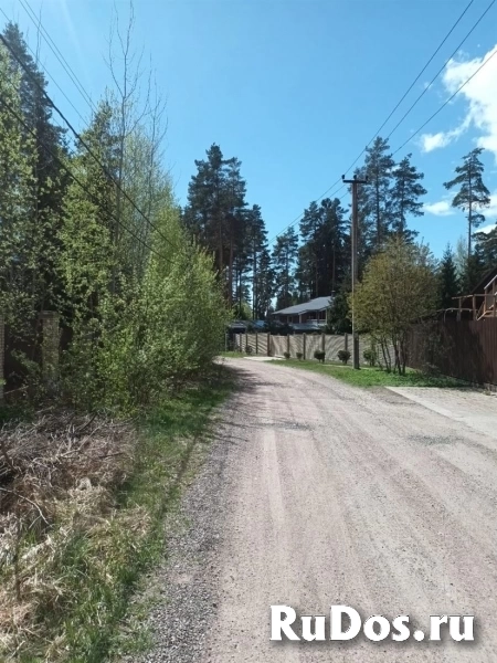 Продам участок 50 сот. фото