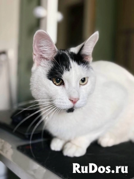 Йогурт — не про еду, а про любовь! изображение 3