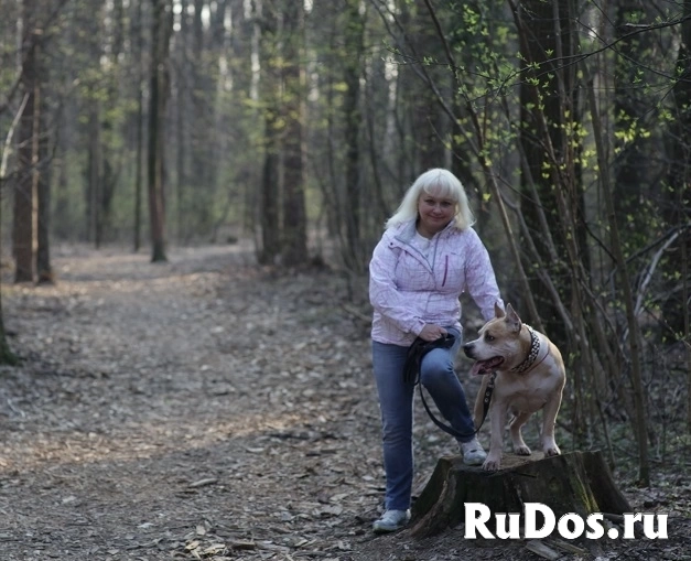 Ветровка Icepeak, на молнии фотка