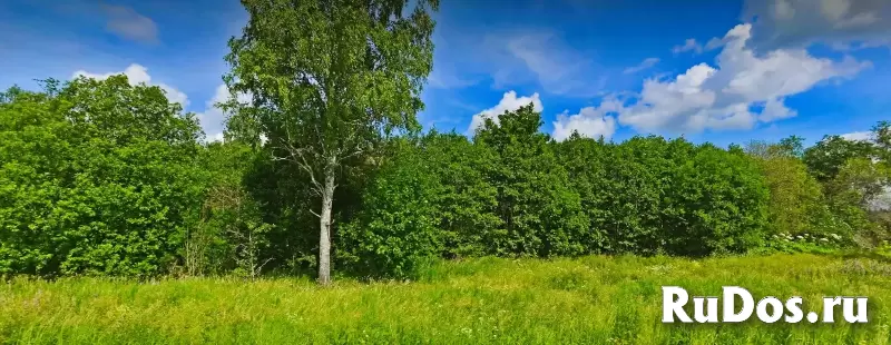 Земельный участок у леса изображение 8