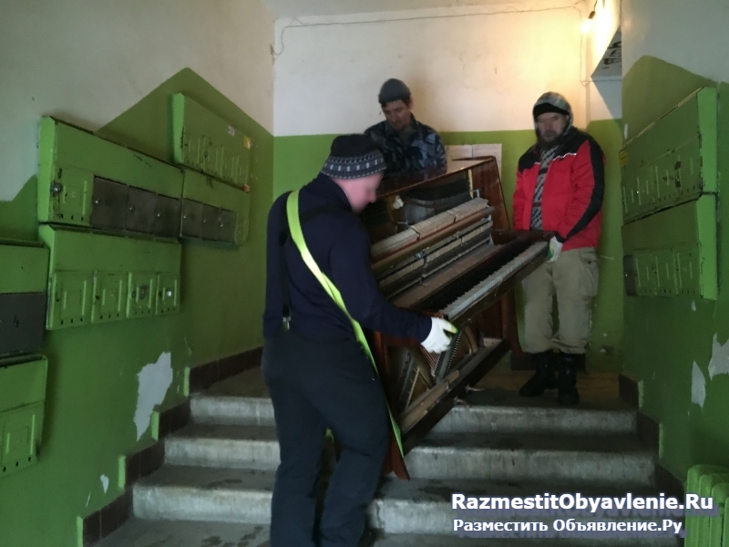 Услуги грузчиков фото