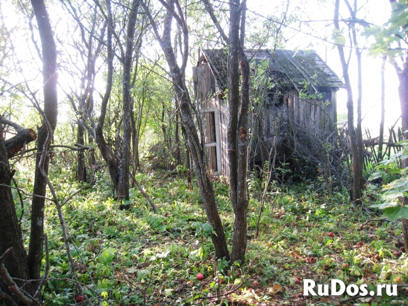 Участок 24 сотки 2,5 км от р. Оки, музея Поленово. изображение 3