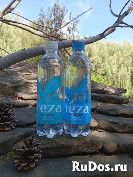 Вода «ТЕЗА» оптом — природная родниковая 0,5 л и 1,5 л (газ/негаз) изображение 7