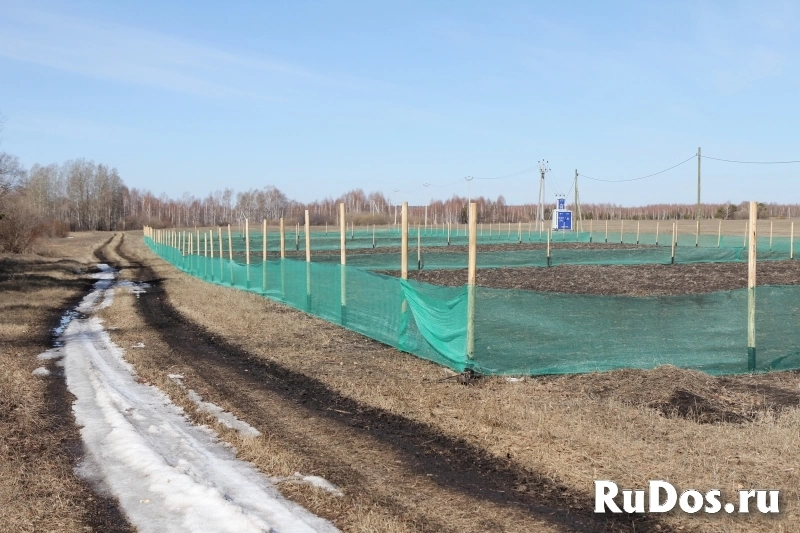 Сдам земельный участок 6 га фото