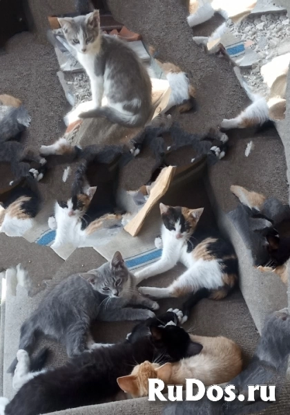 Для добрых людей изображение 7