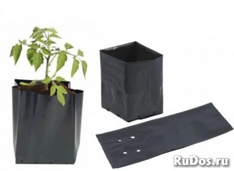 Пакеты для рассады всех типов фото