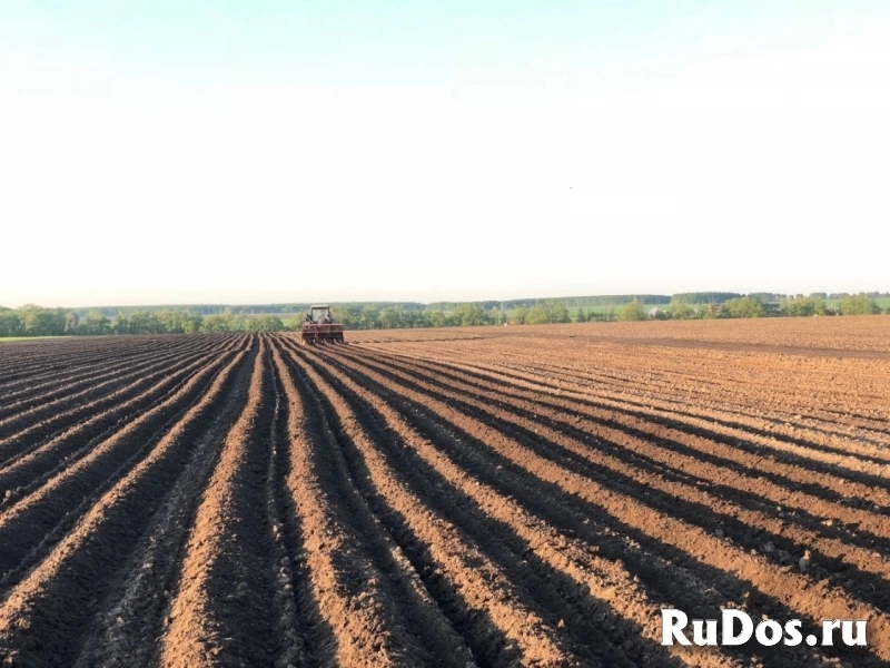 Продажа сельскохозяйственного производства фотка