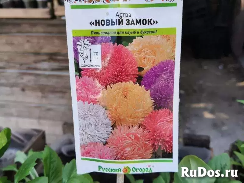 Время украшать сад и огород: крепкая рассада для отличного урожая! изображение 3