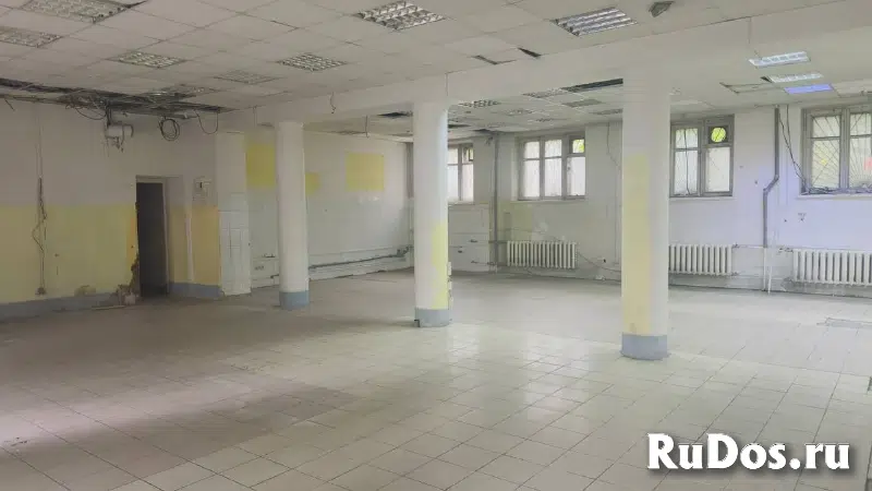 Торговое помещение 213 м². изображение 4