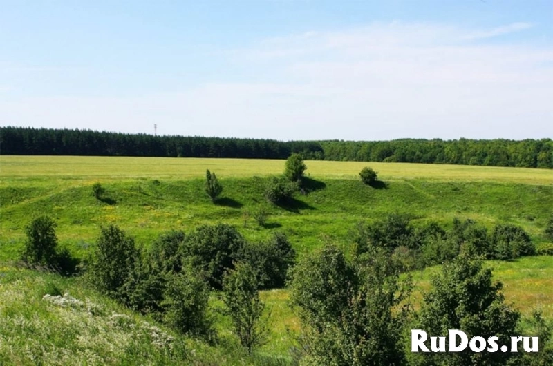 Земля ИЖС под строительство поселка у реки изображение 8