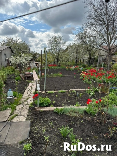 Луганск (Луганская Народная Республика) изображение 4