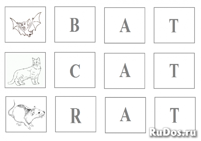 Учитель/репетитор англ. яз. и др. школ. дисциплин (Skype) изображение 3