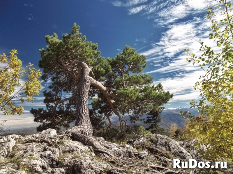 Автобусный тур в Адыгею из Ростова-на-Дону изображение 4