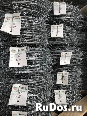 колючая проволока ессентуки фото