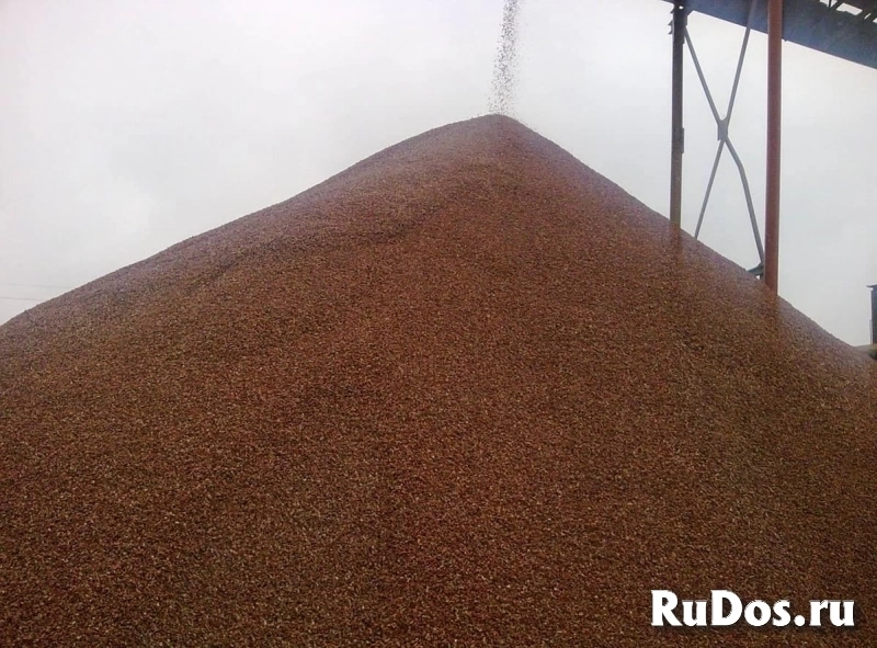 Розовый гранитный отсев 0–5 мм с доставкой изображение 5