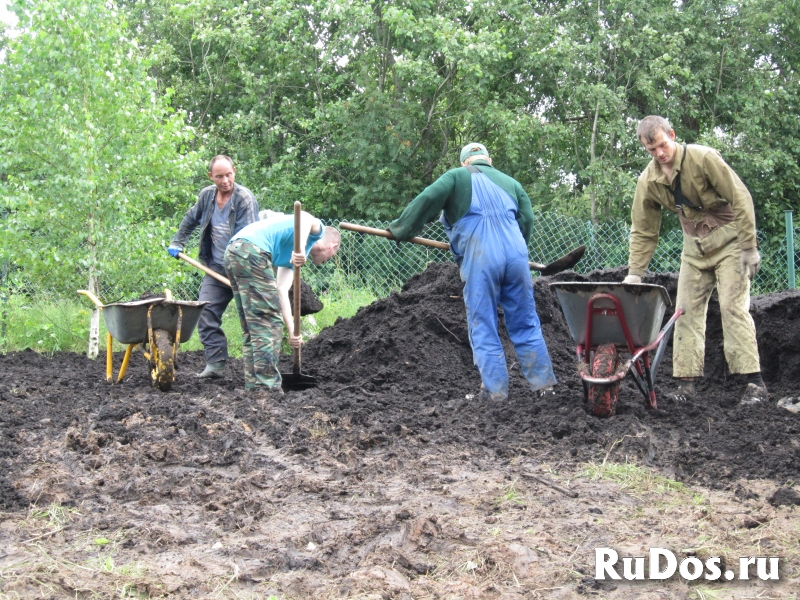 Разнорабочие Землекопы изображение 5