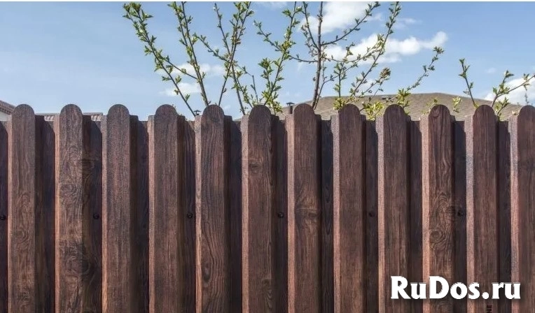 Пpoфнаcтил C-20 (пpoфлист) фото