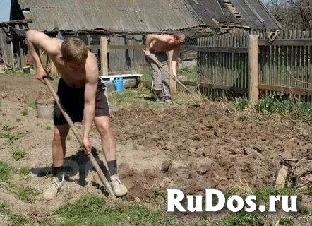 Вскопать вспахать перекопать пахота огород землю грядку фотка