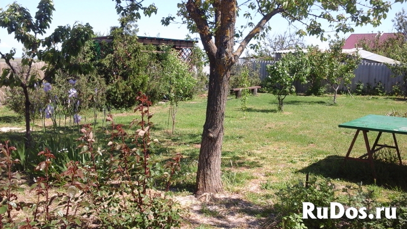 Дом 45 м2 у москвичей изображение 7