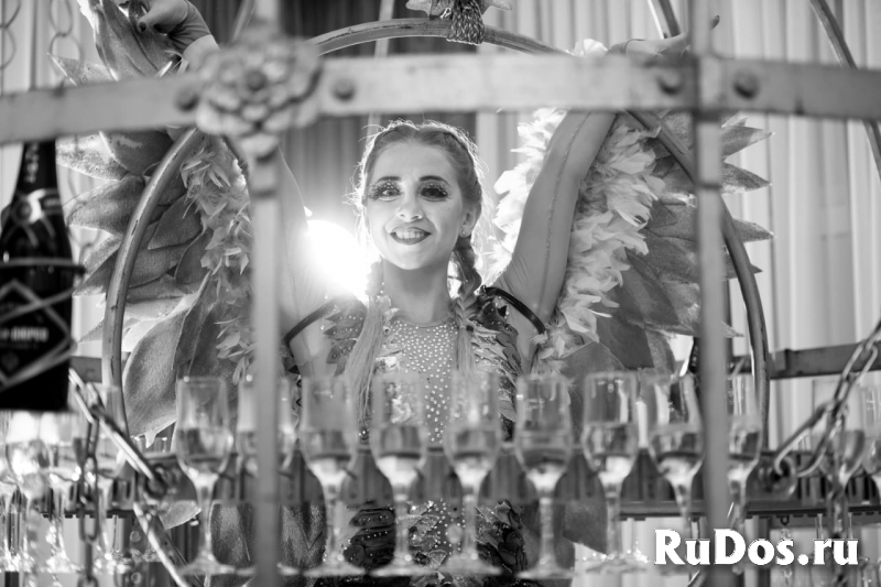 Шоу в клетке «Райская птичка» с подачей шампанског изображение 3