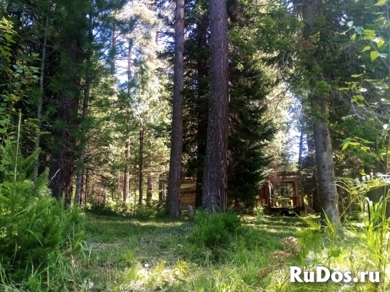 Продаются участки под турбизнес на Алтае возле Телецкого озера изображение 9