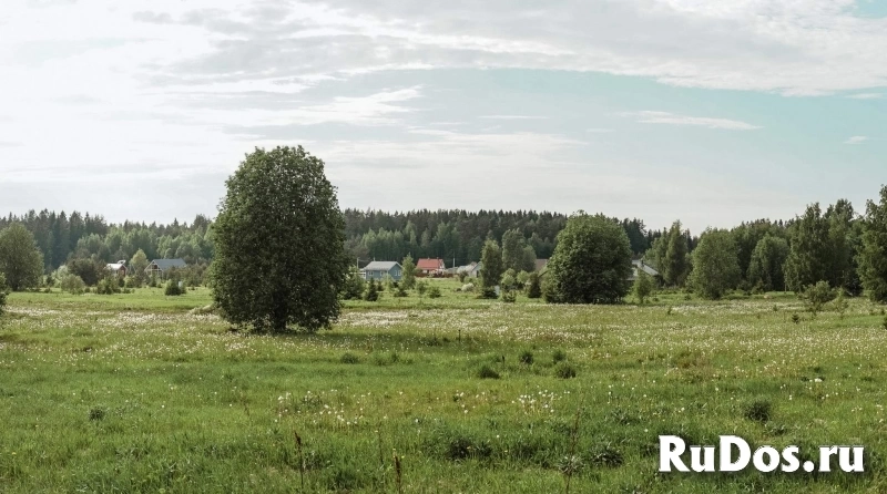 Продам участок 18 сот. изображение 3