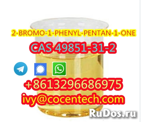 8613296686975 2-BROMO-1-PHENYL-PENTAN-1-ONE cas 49851-31-2 фото